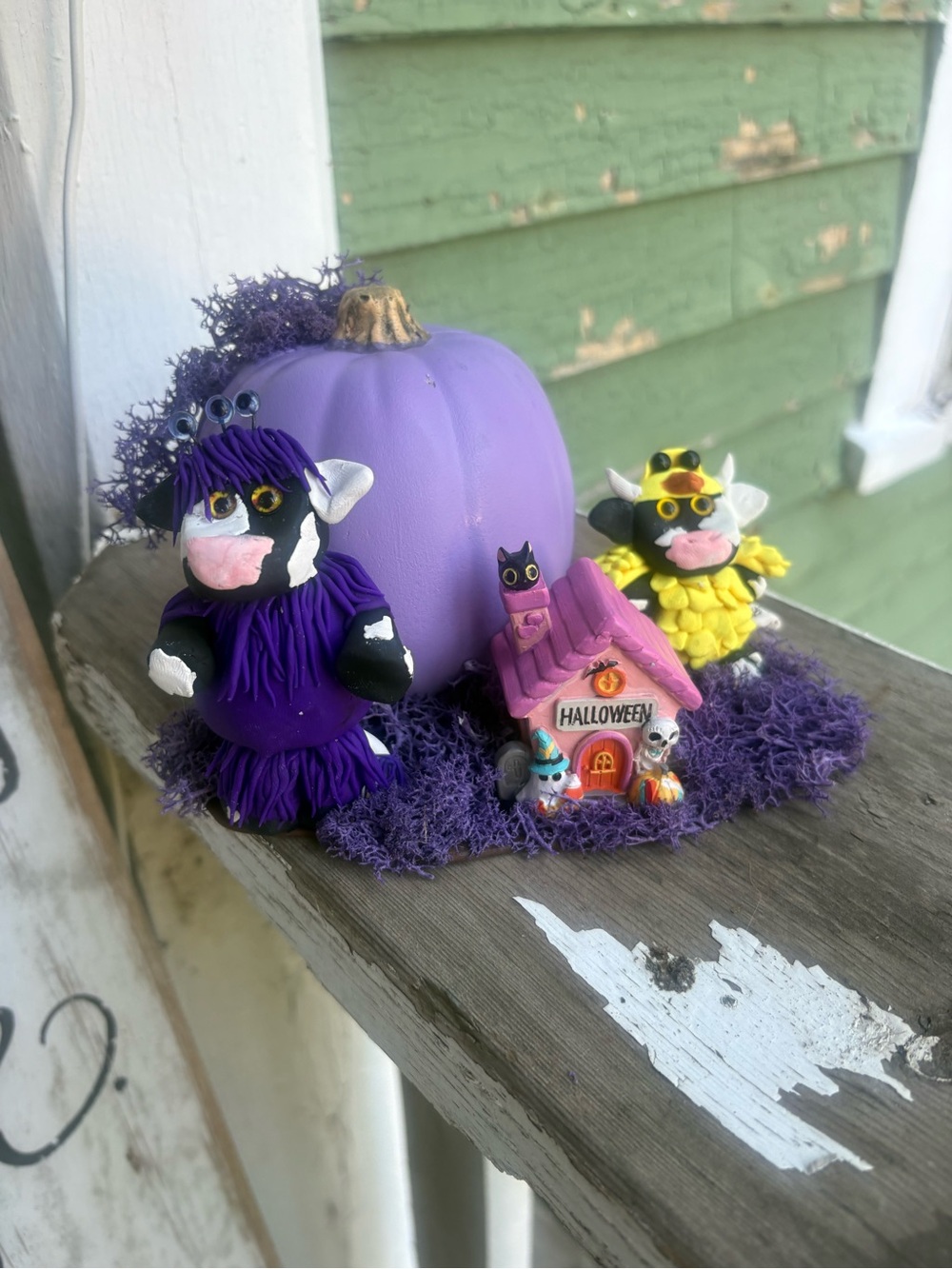 Purple monster cow and a ducky cow Pumpkin Halloween Mini Display with Cute cow